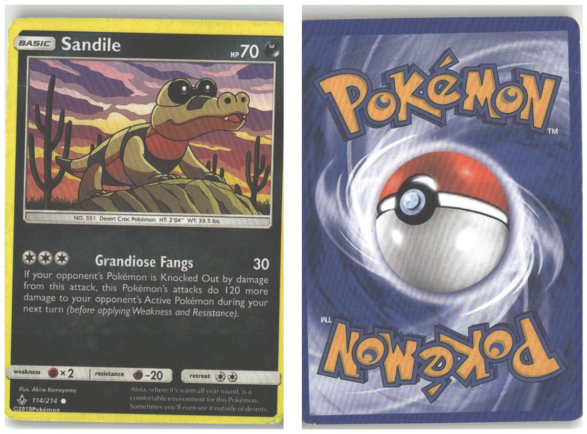 Front + Back scan