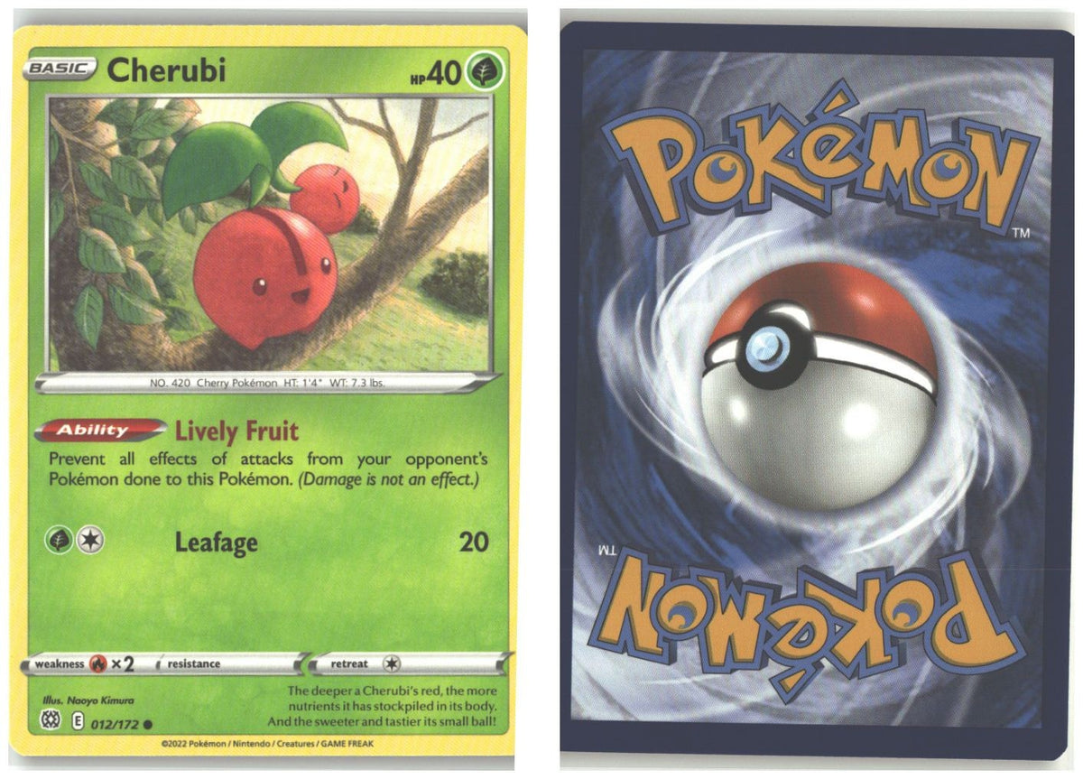 Front + Back scan