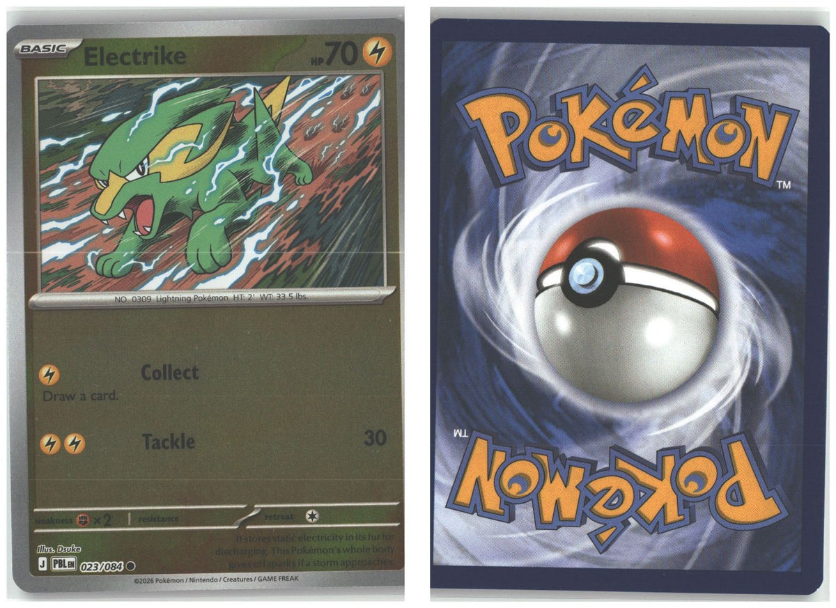 Front + Back scan