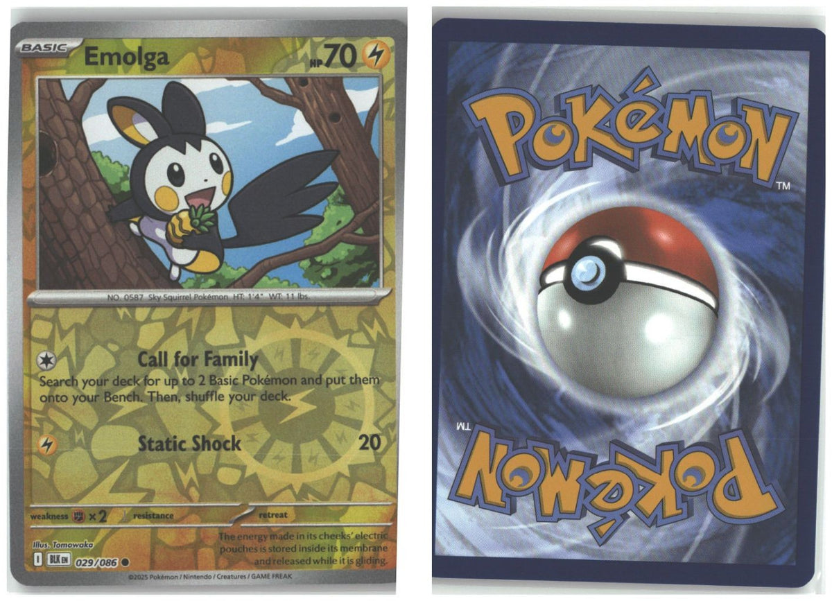 Front + Back scan