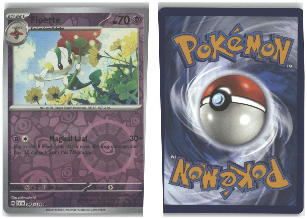 Front + Back scan