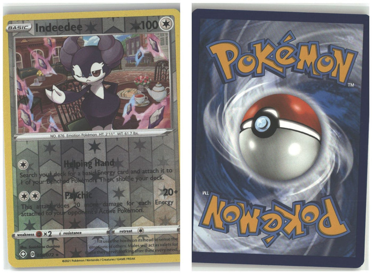 Front + Back scan