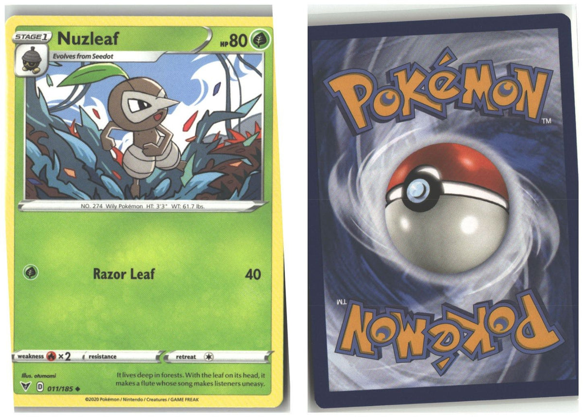 Front + Back scan