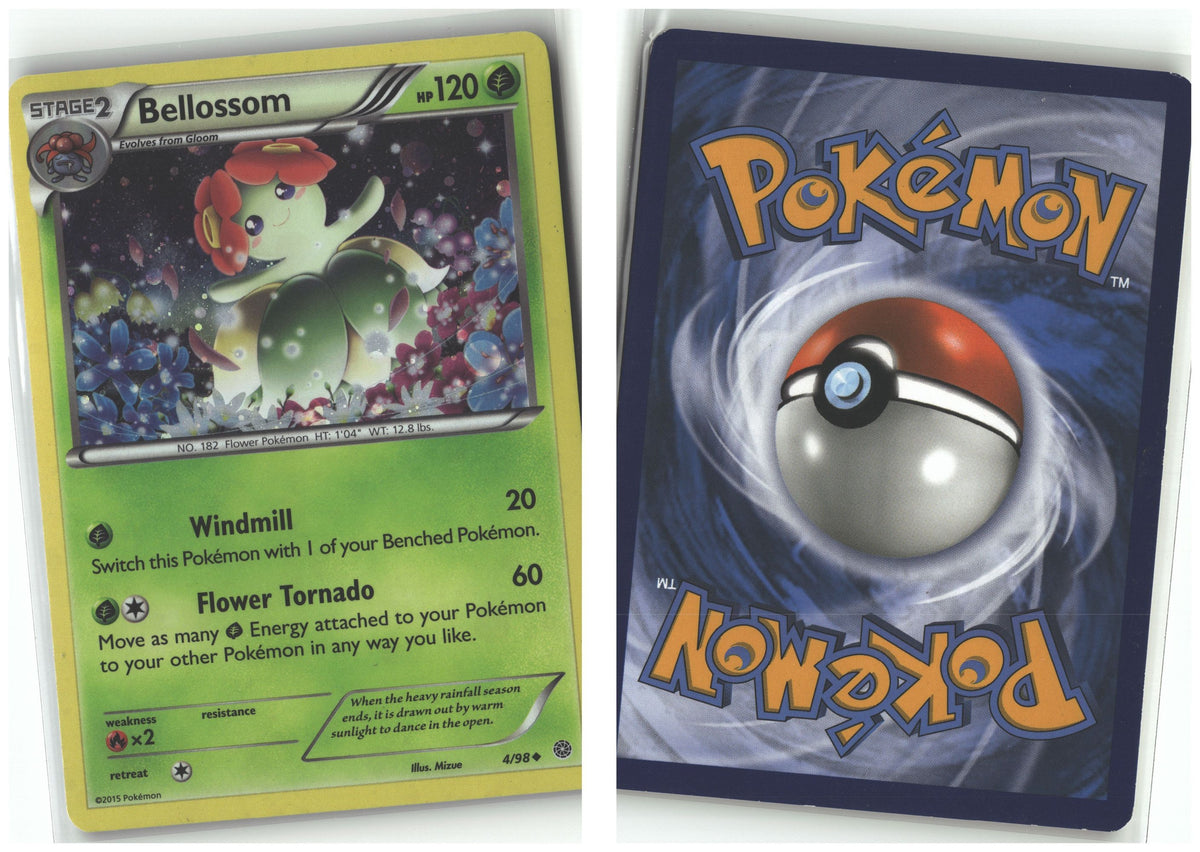 Front + Back scan
