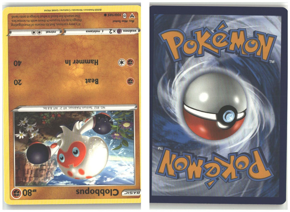 Front + Back scan
