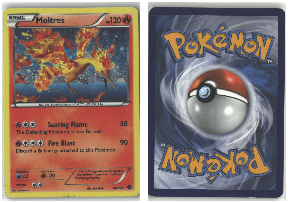 Front + Back scan