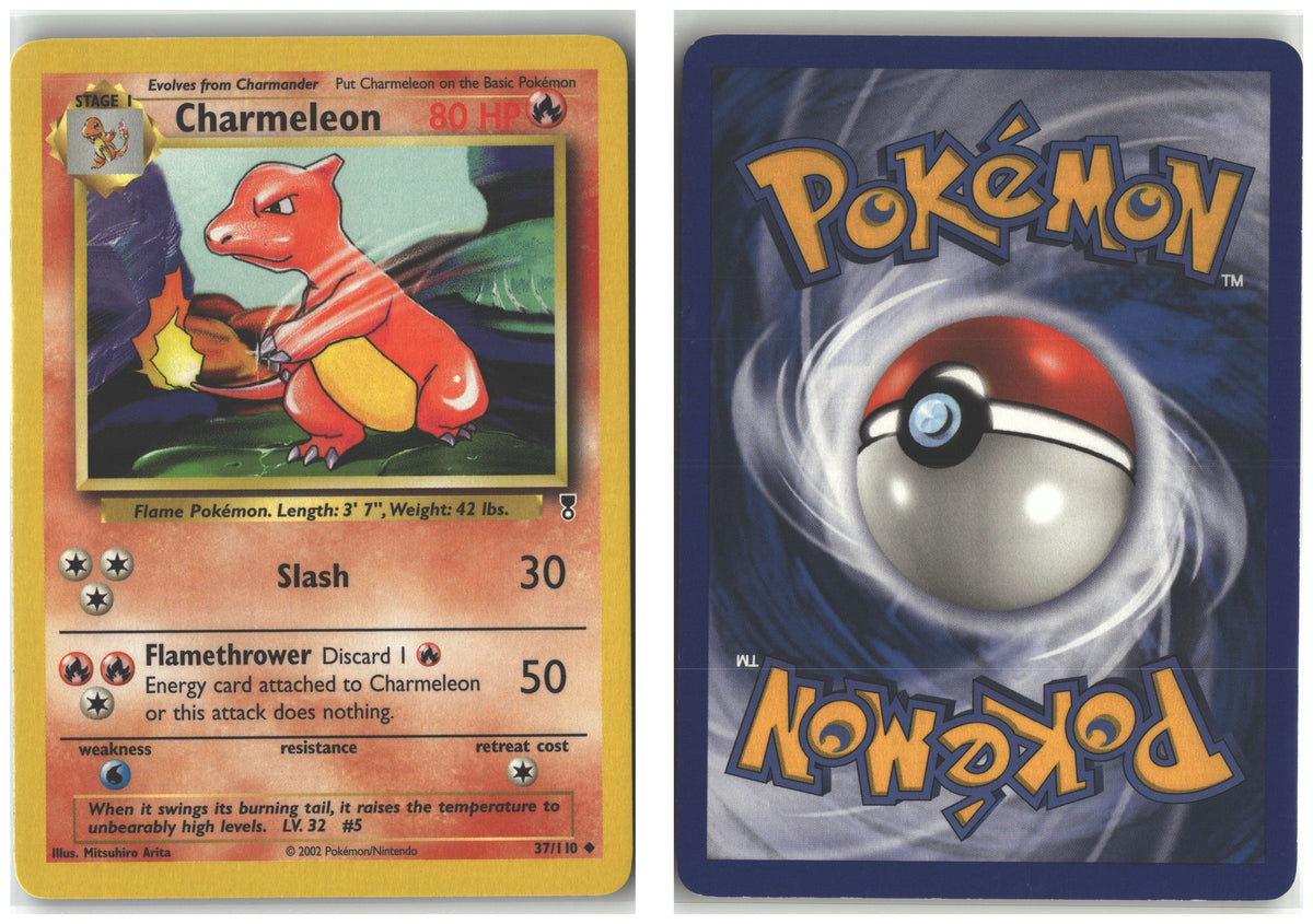 Front + Back scan