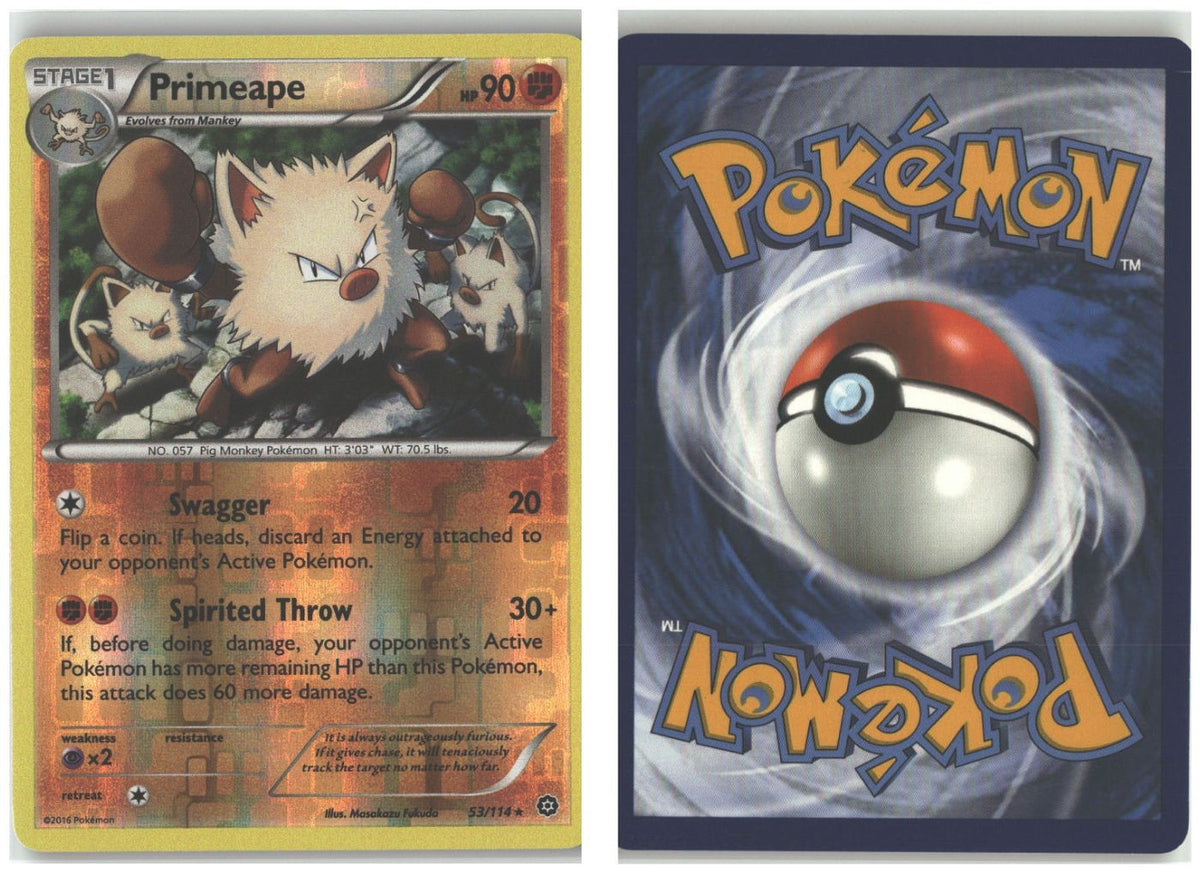 Front + Back scan