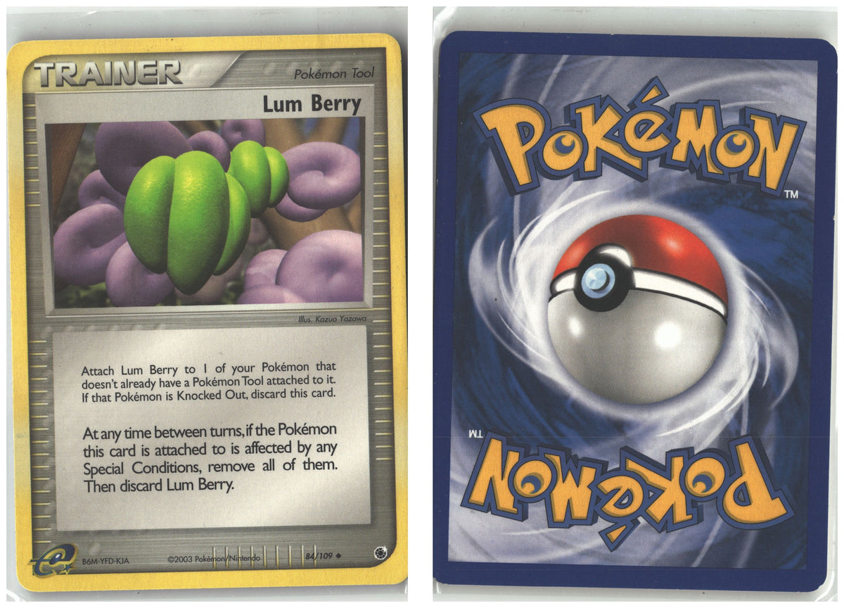 Front + Back scan