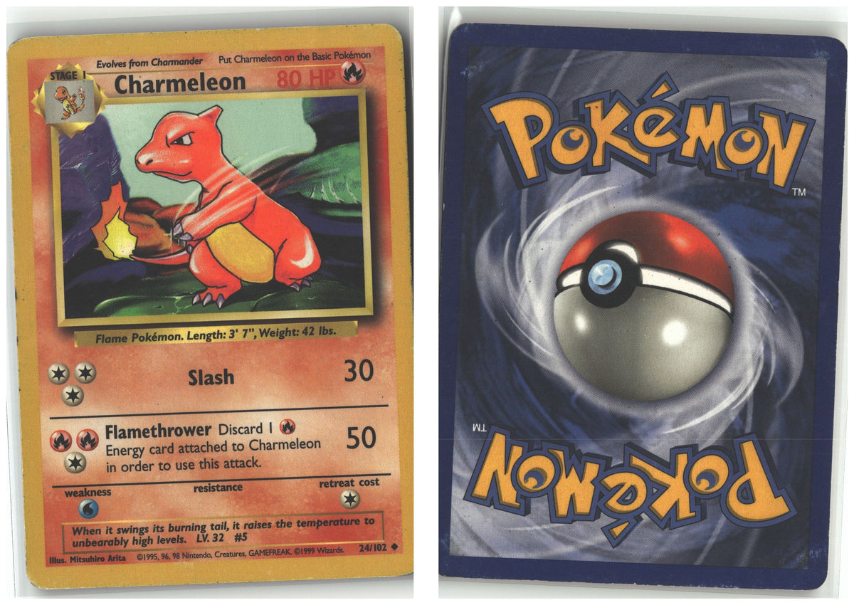 Front + Back scan