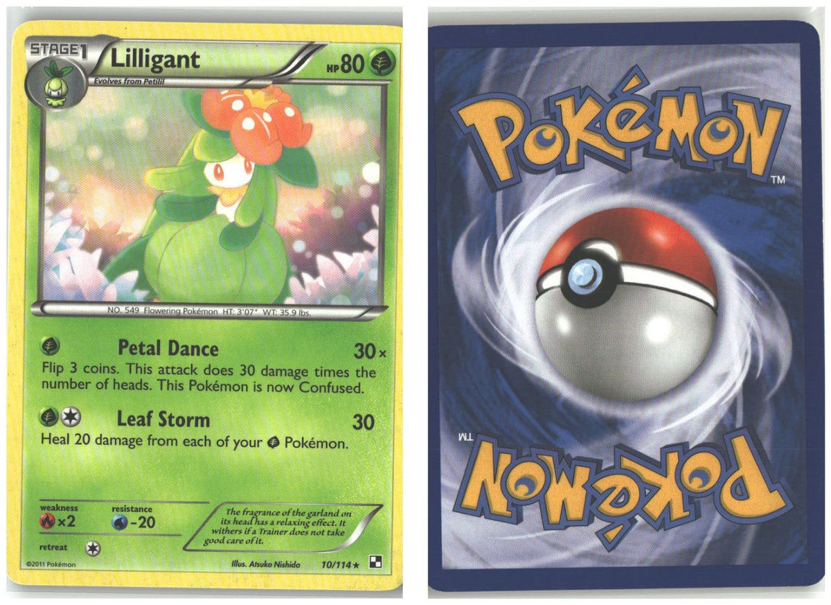 Front + Back scan