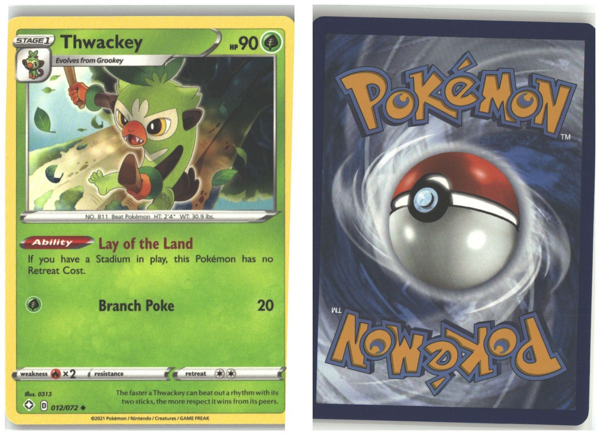 Front + Back scan
