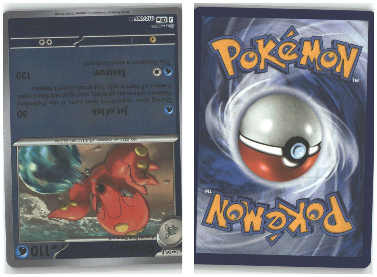 Front + Back scan