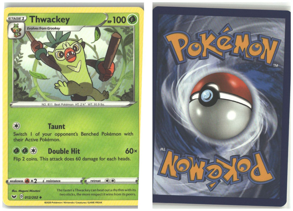 Front + Back scan