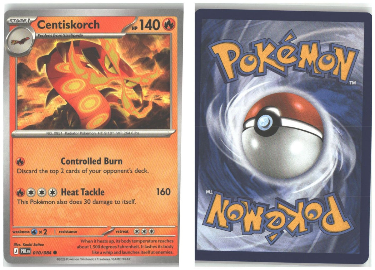 Front + Back scan
