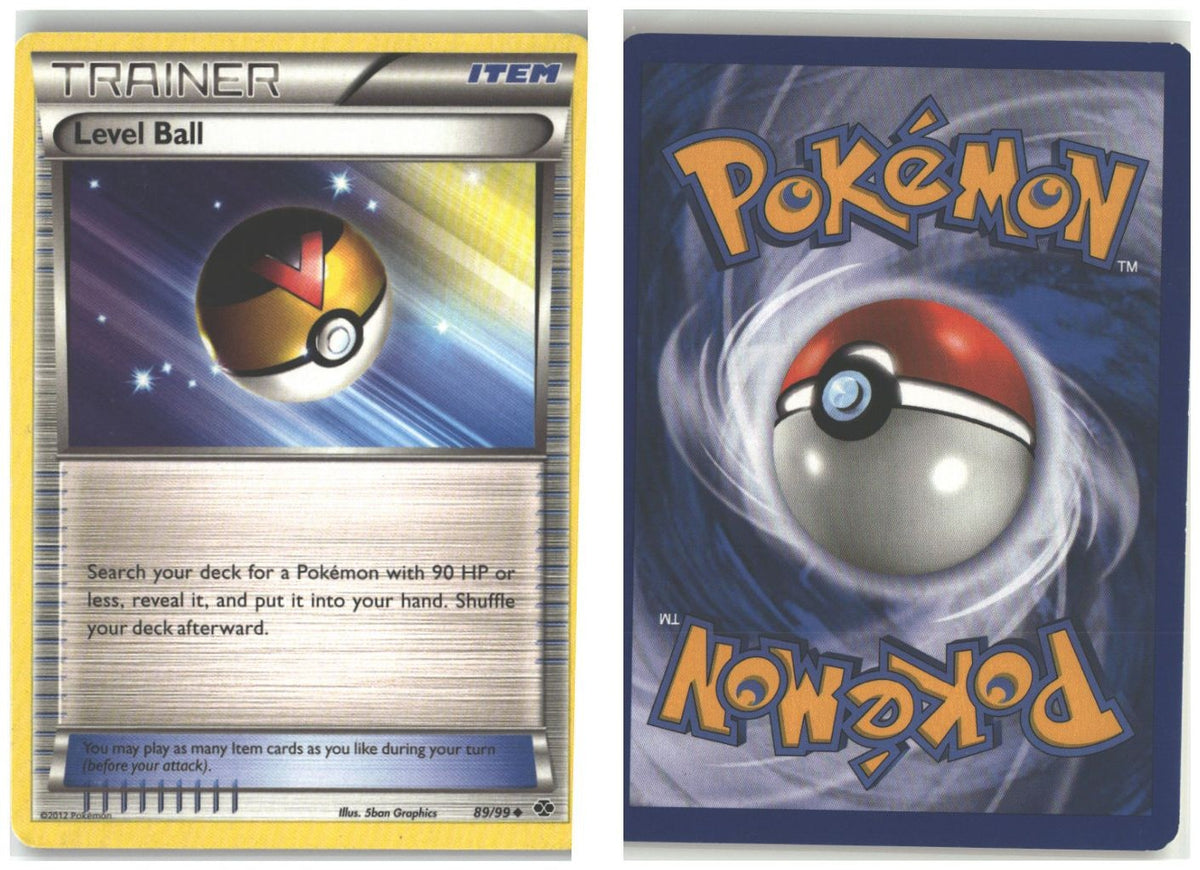 Front + Back scan