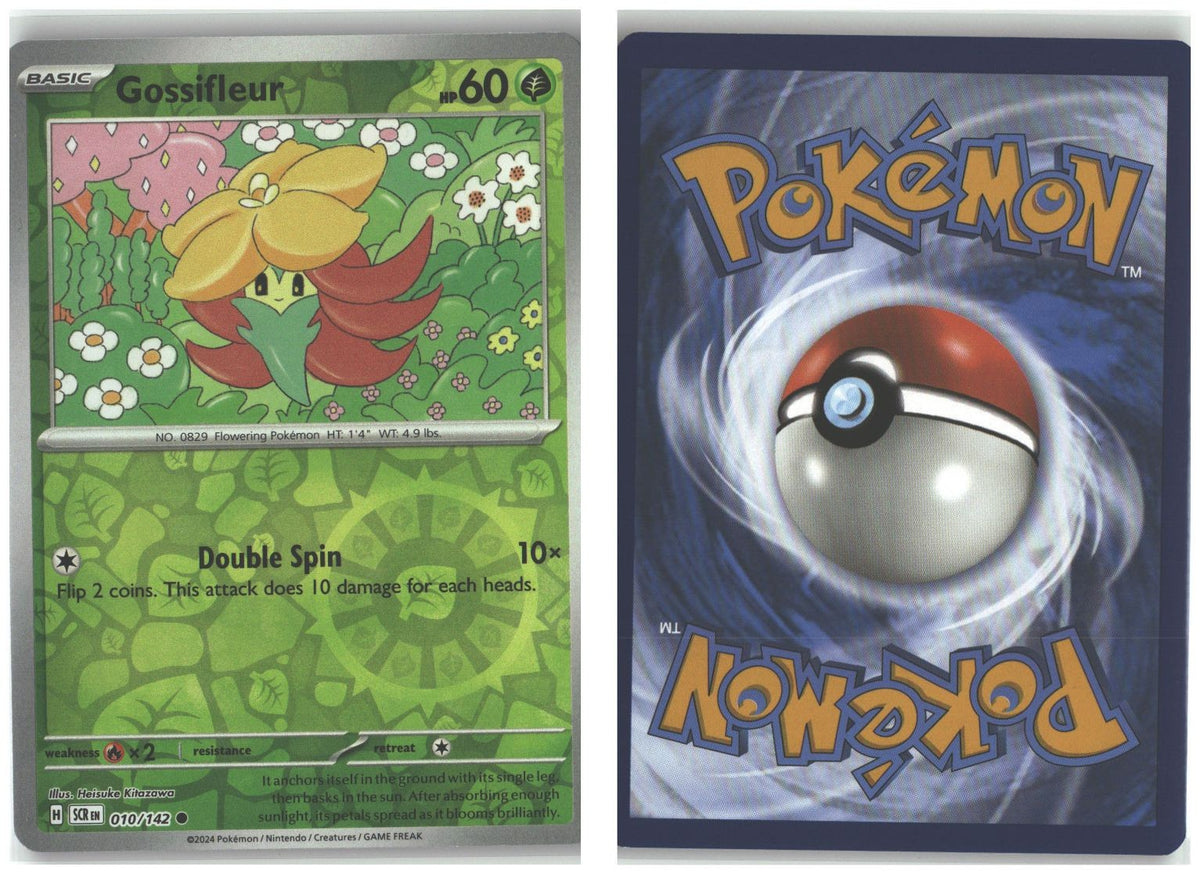 Front + Back scan