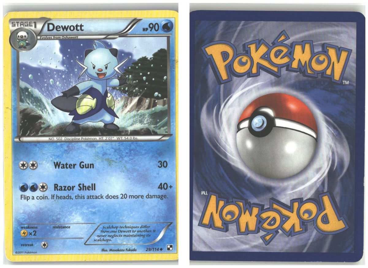 Front + Back scan
