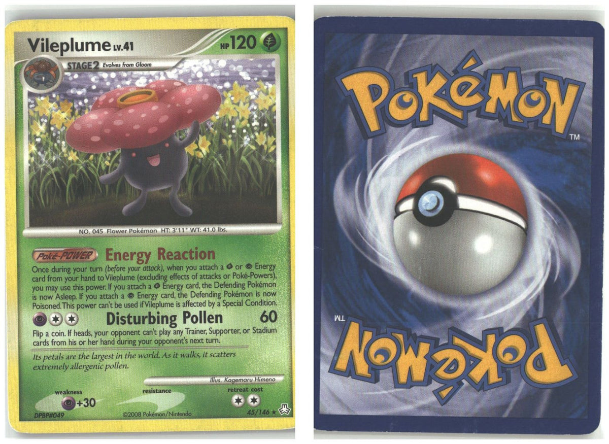 Front + Back scan
