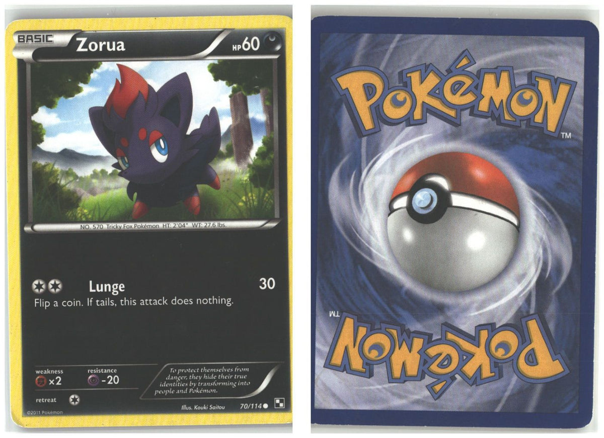 Front + Back scan