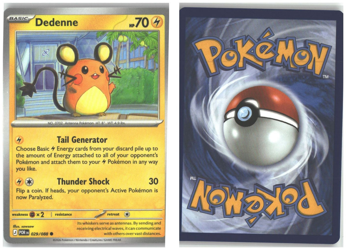 Front + Back scan