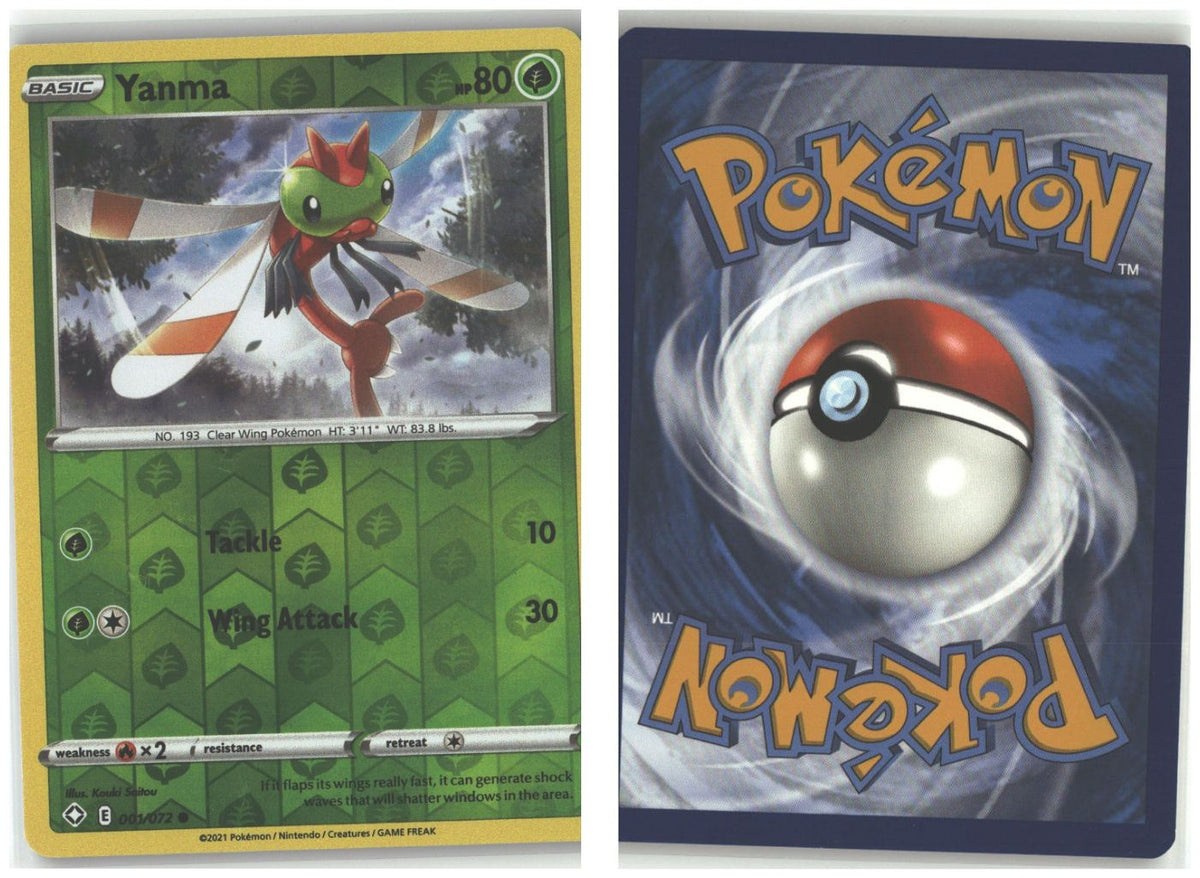 Front + Back scan