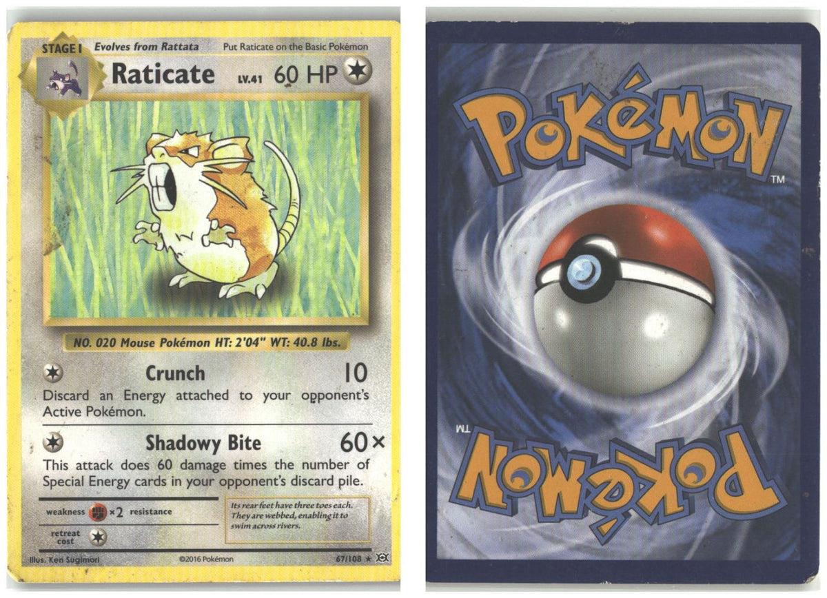 Front + Back scan