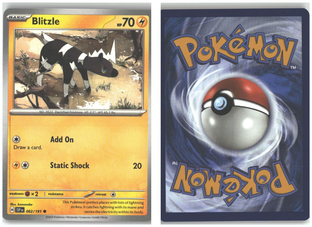 Front + Back scan