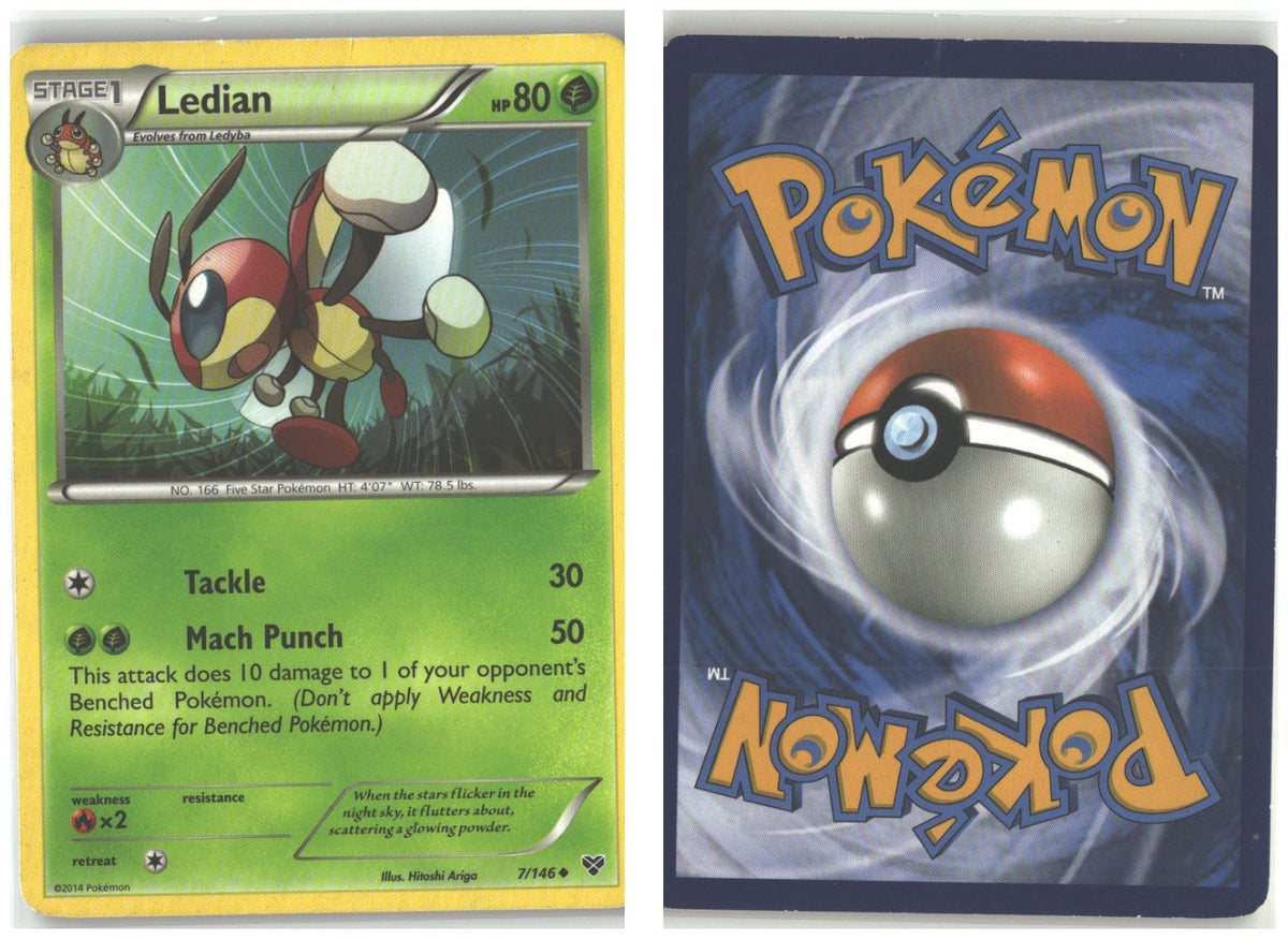 Front + Back scan