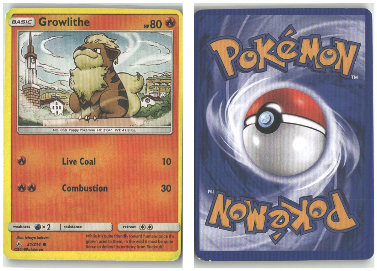 Front + Back scan