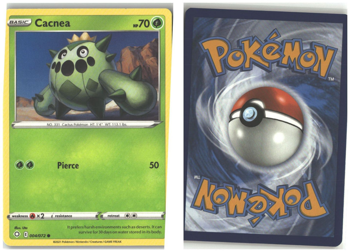 Front + Back scan