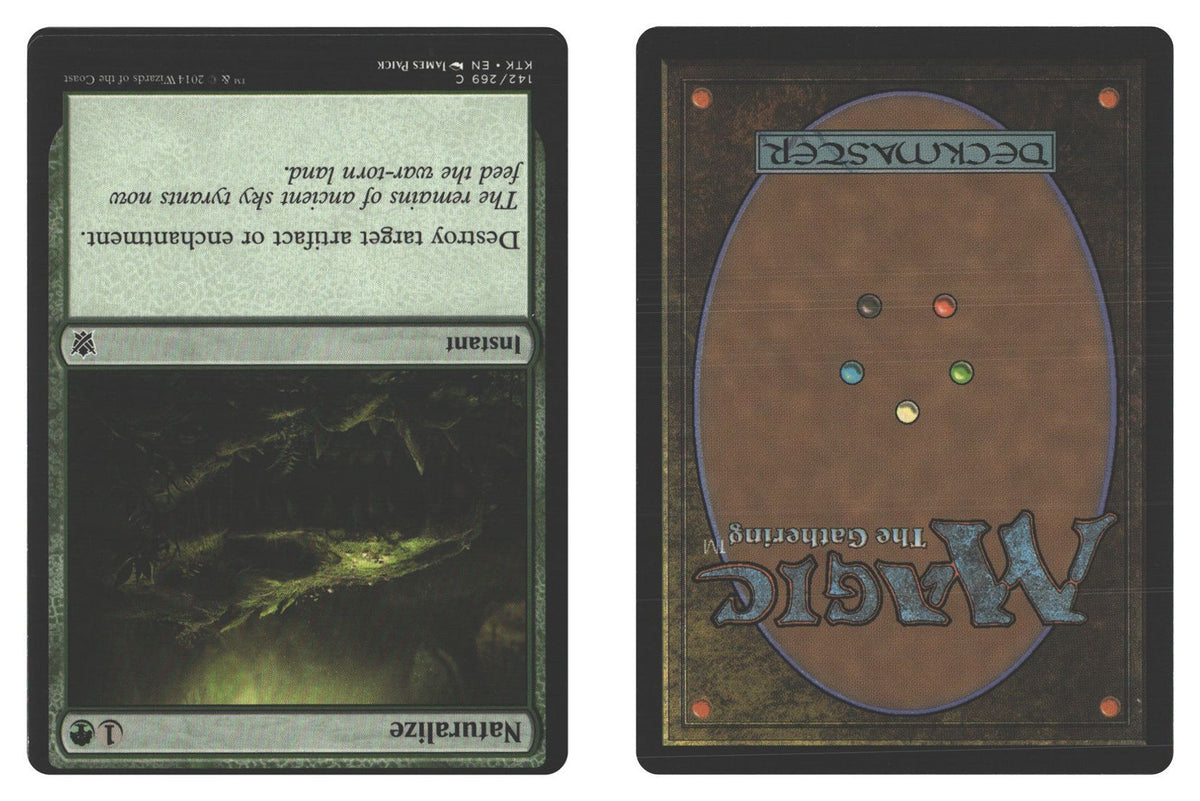 Front + Back scan