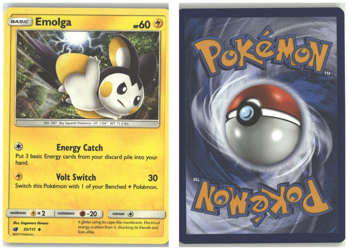 Front + Back scan
