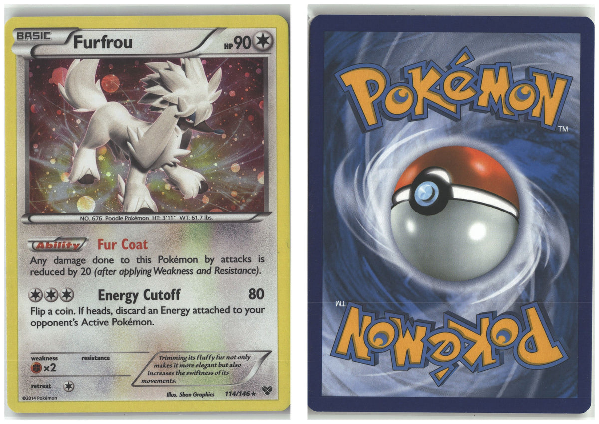 Front + Back scan