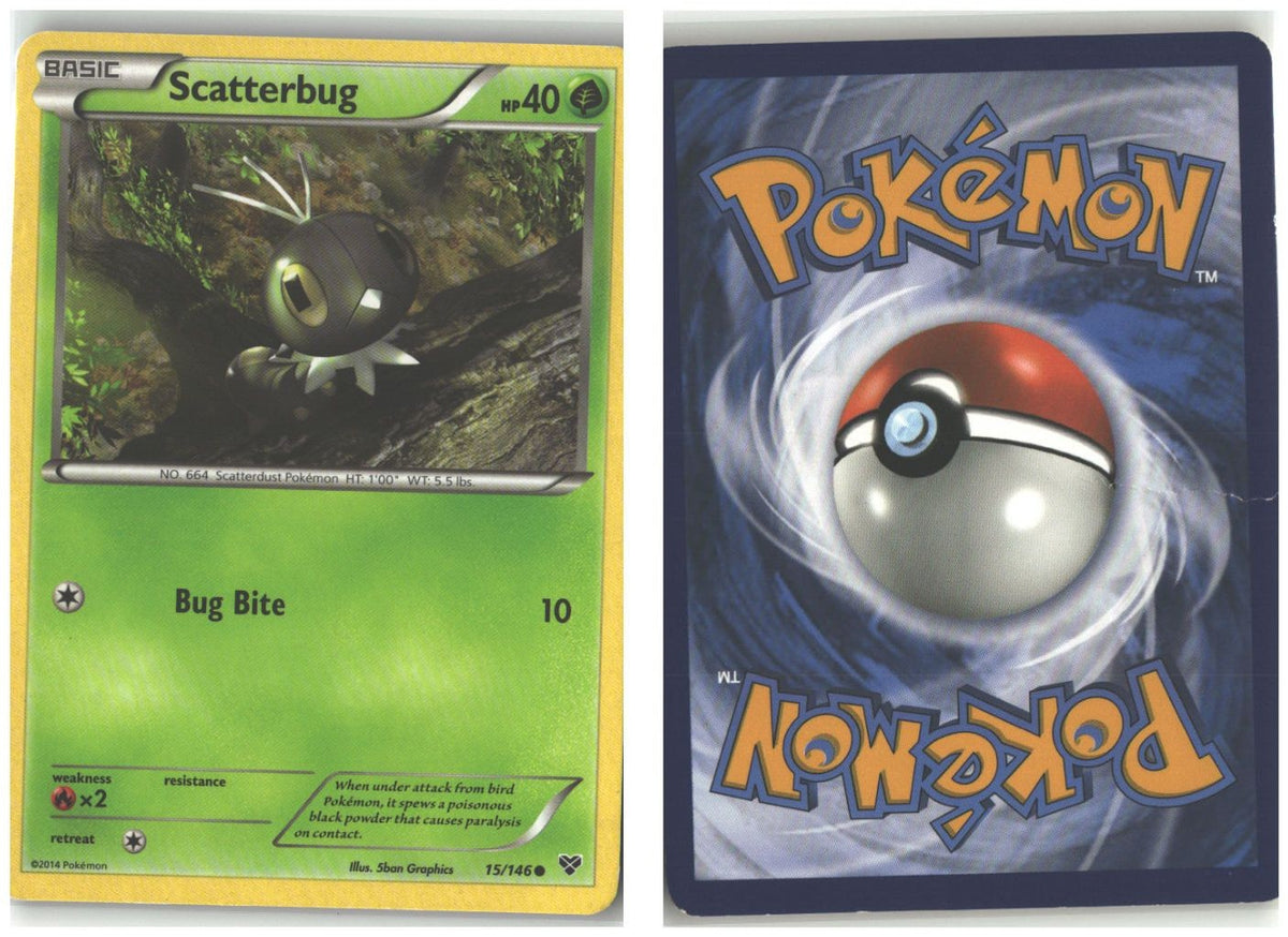 Front + Back scan