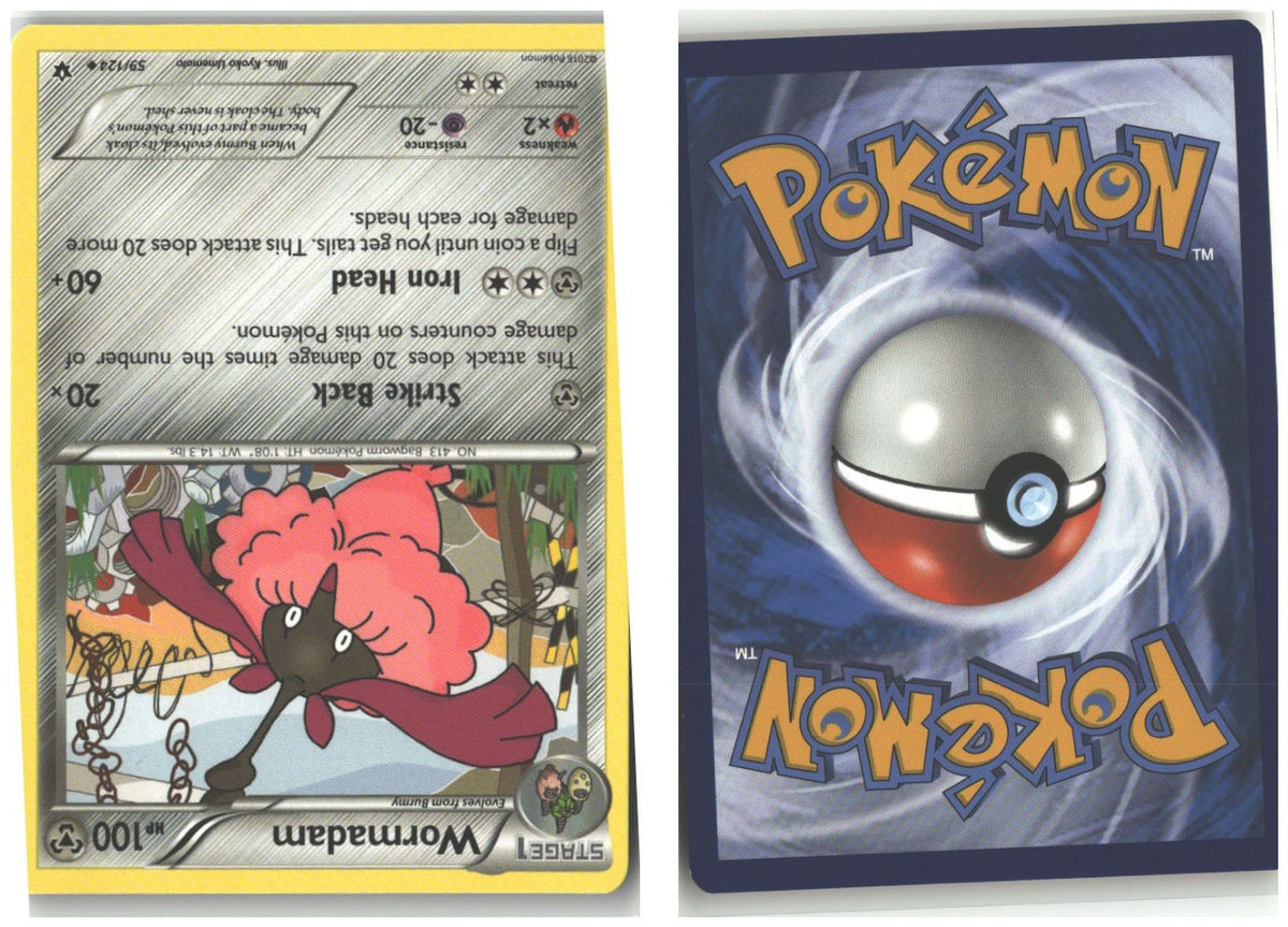 Front + Back scan