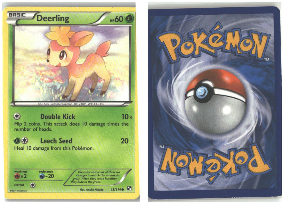 Front + Back scan