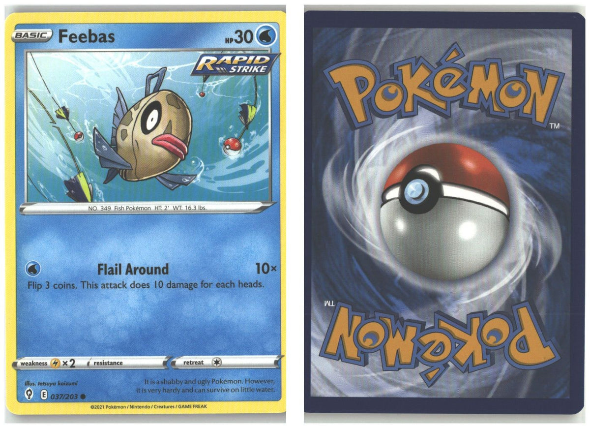 Front + Back scan