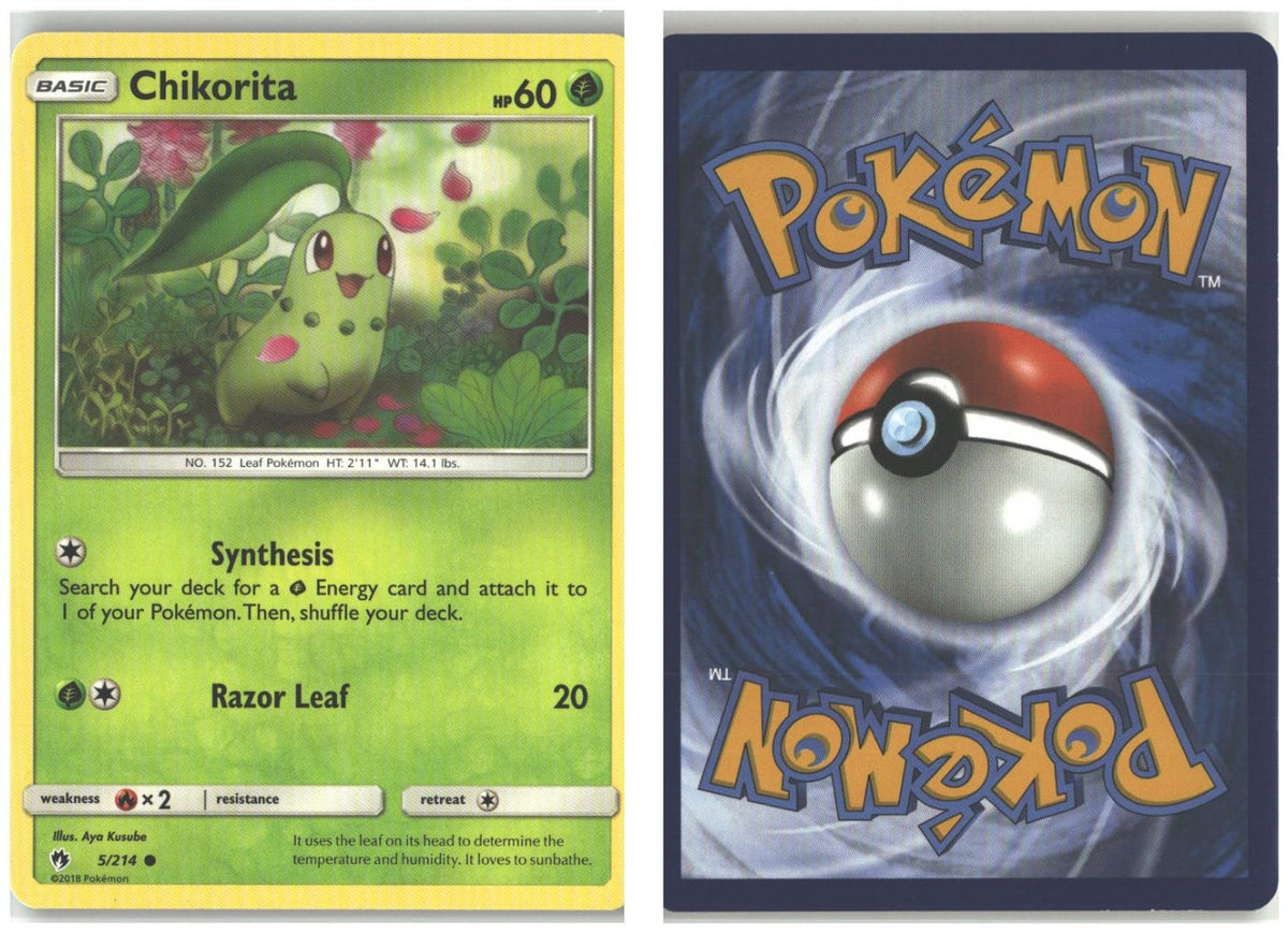 Front + Back scan