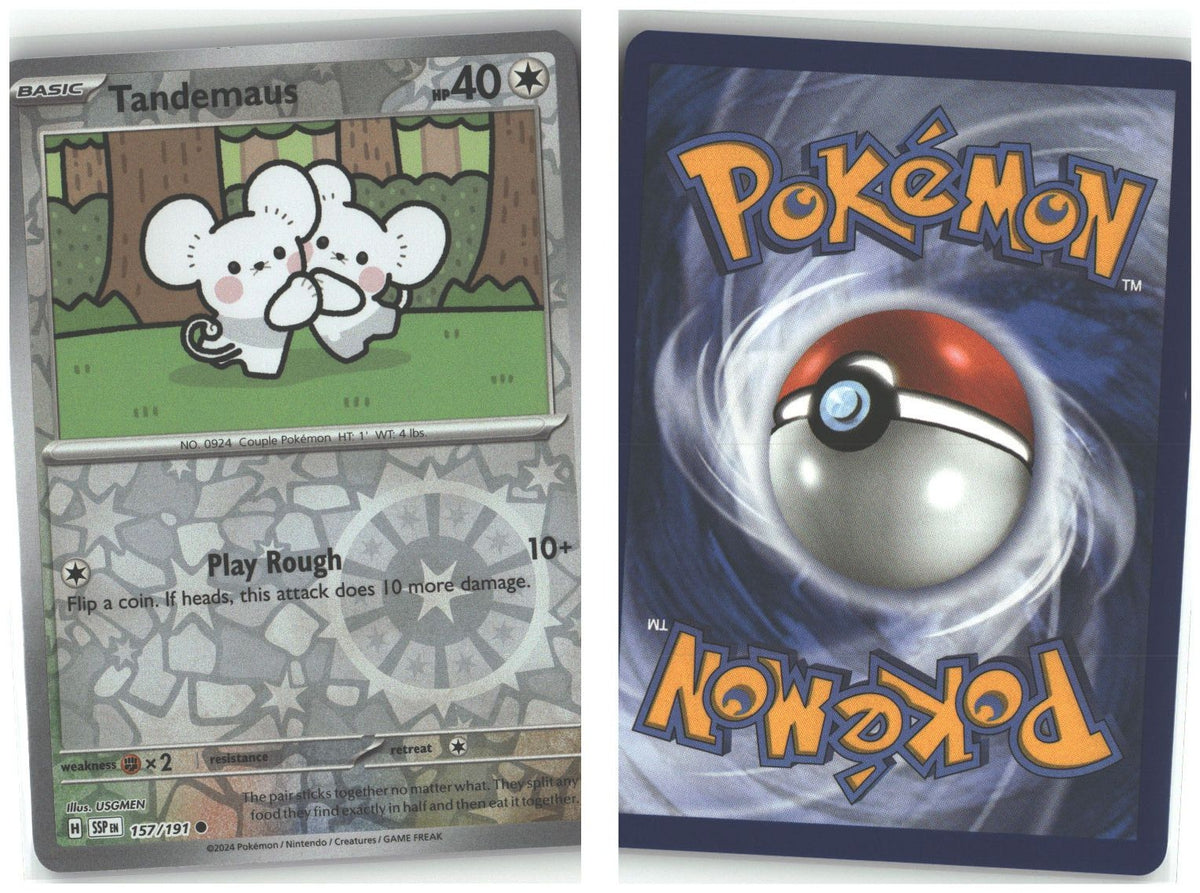 Front + Back scan