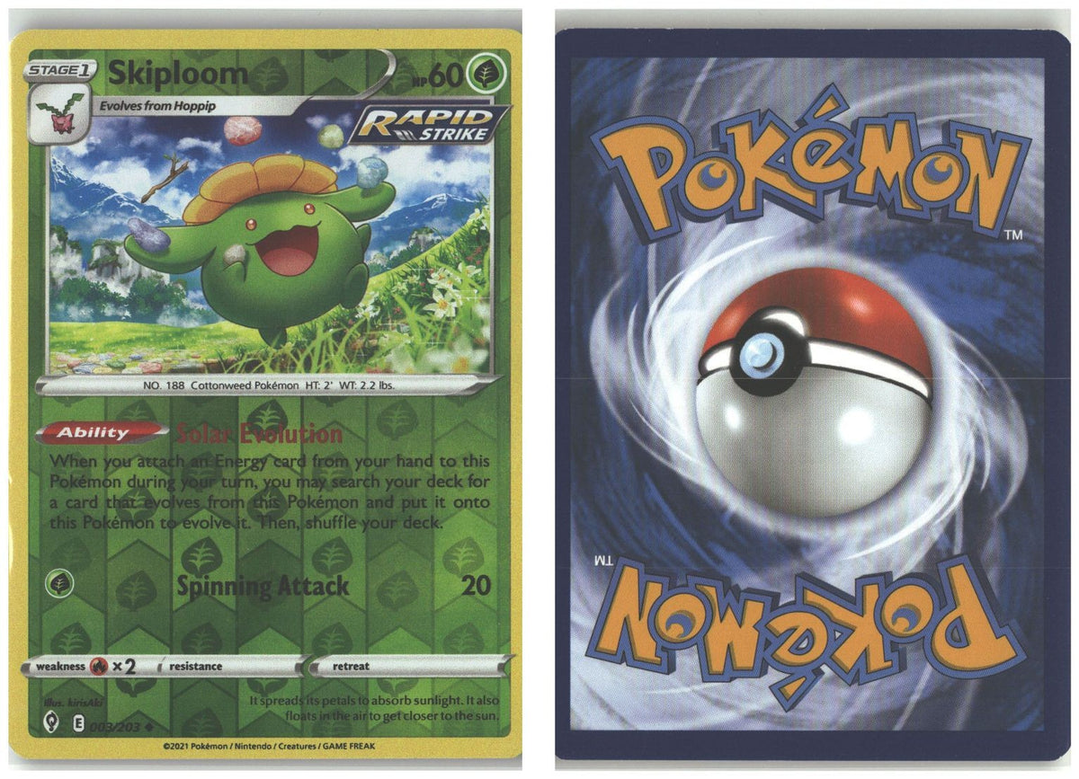 Front + Back scan