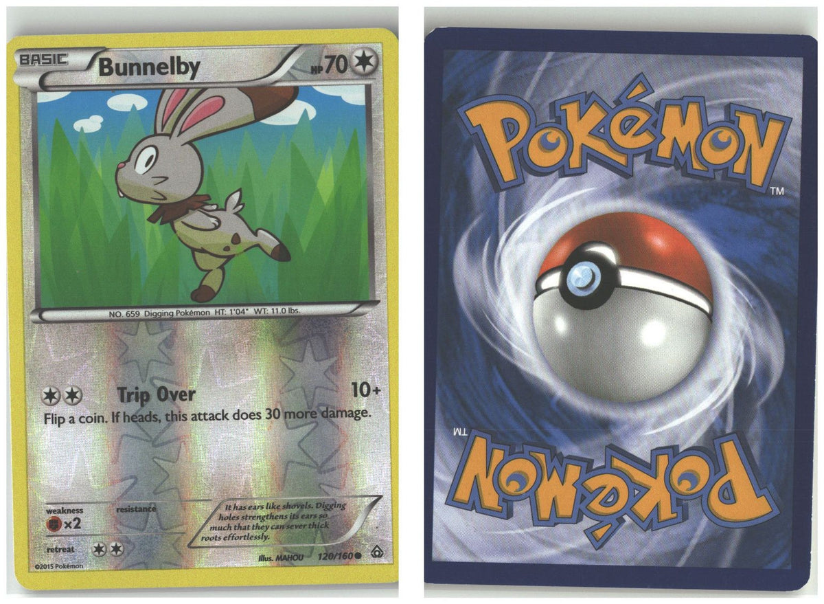 Front + Back scan