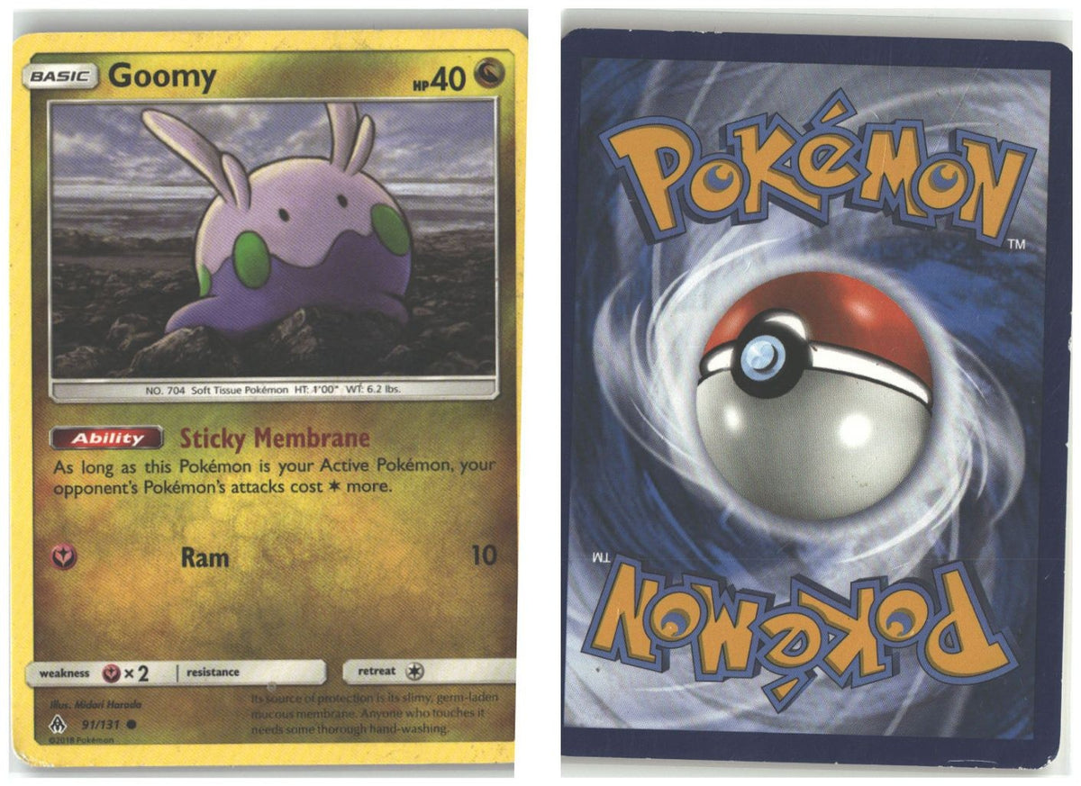 Front + Back scan
