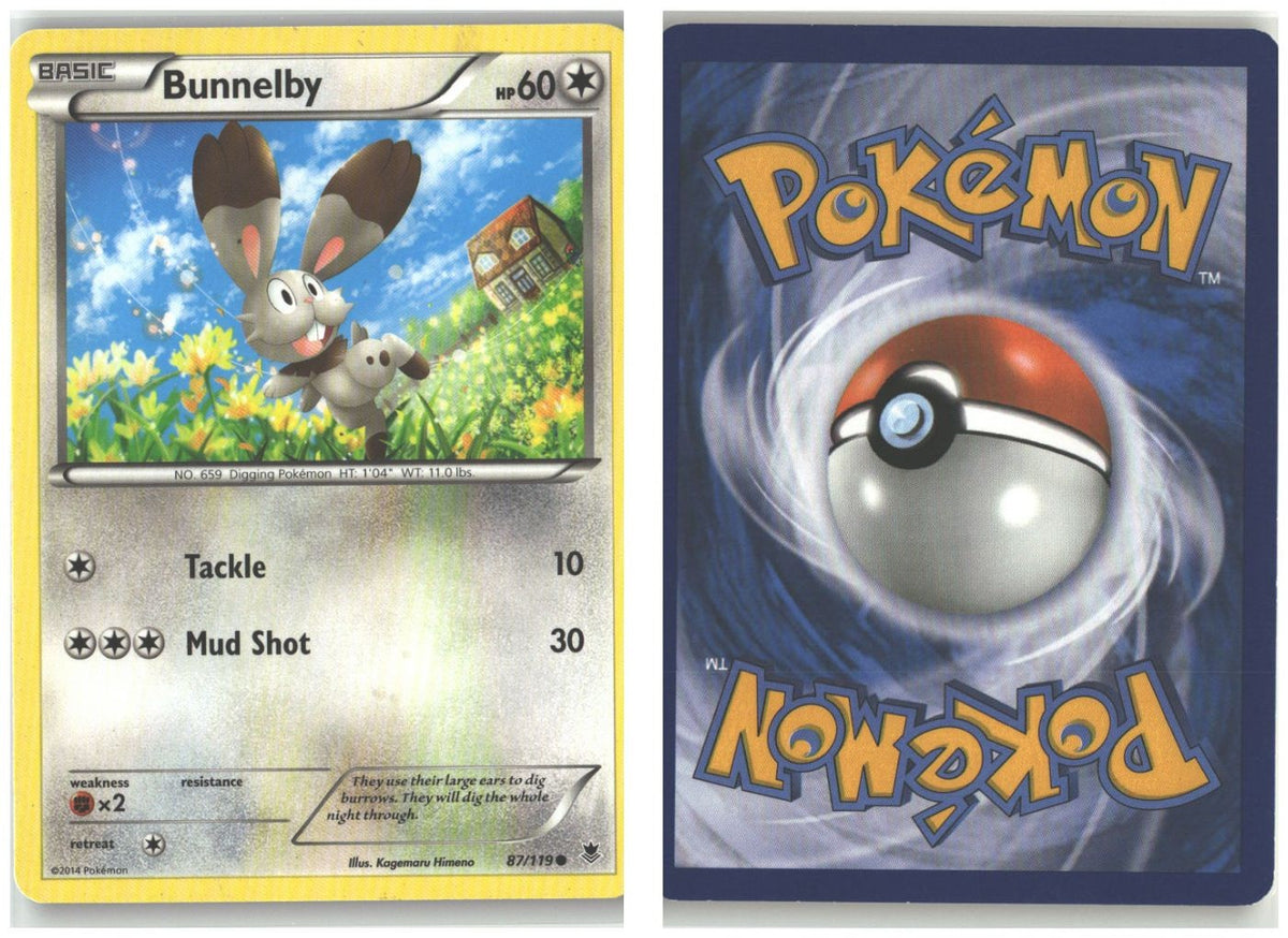 Front + Back scan