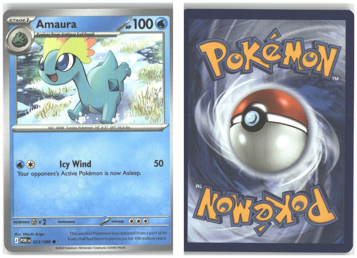 Front + Back scan