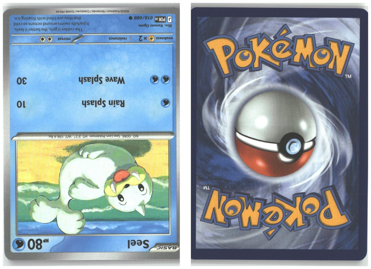 Front + Back scan