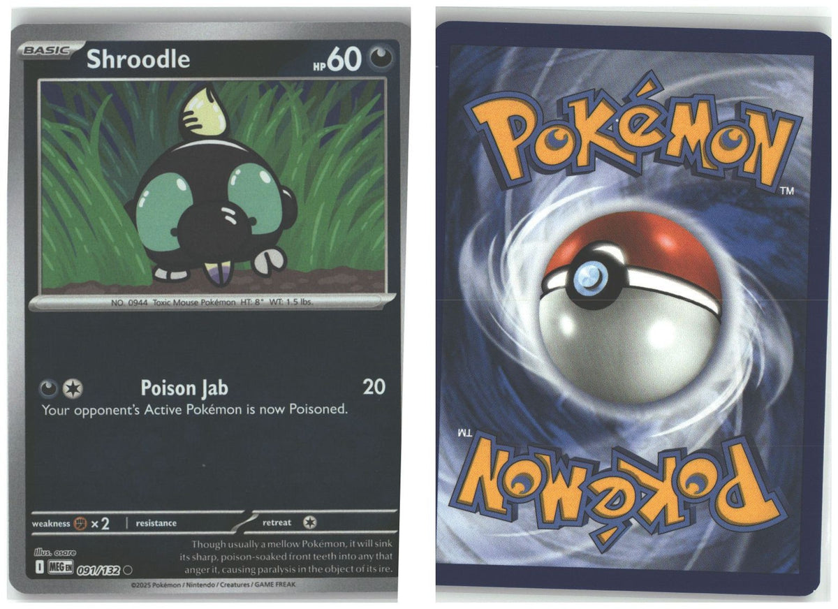 Front + Back scan