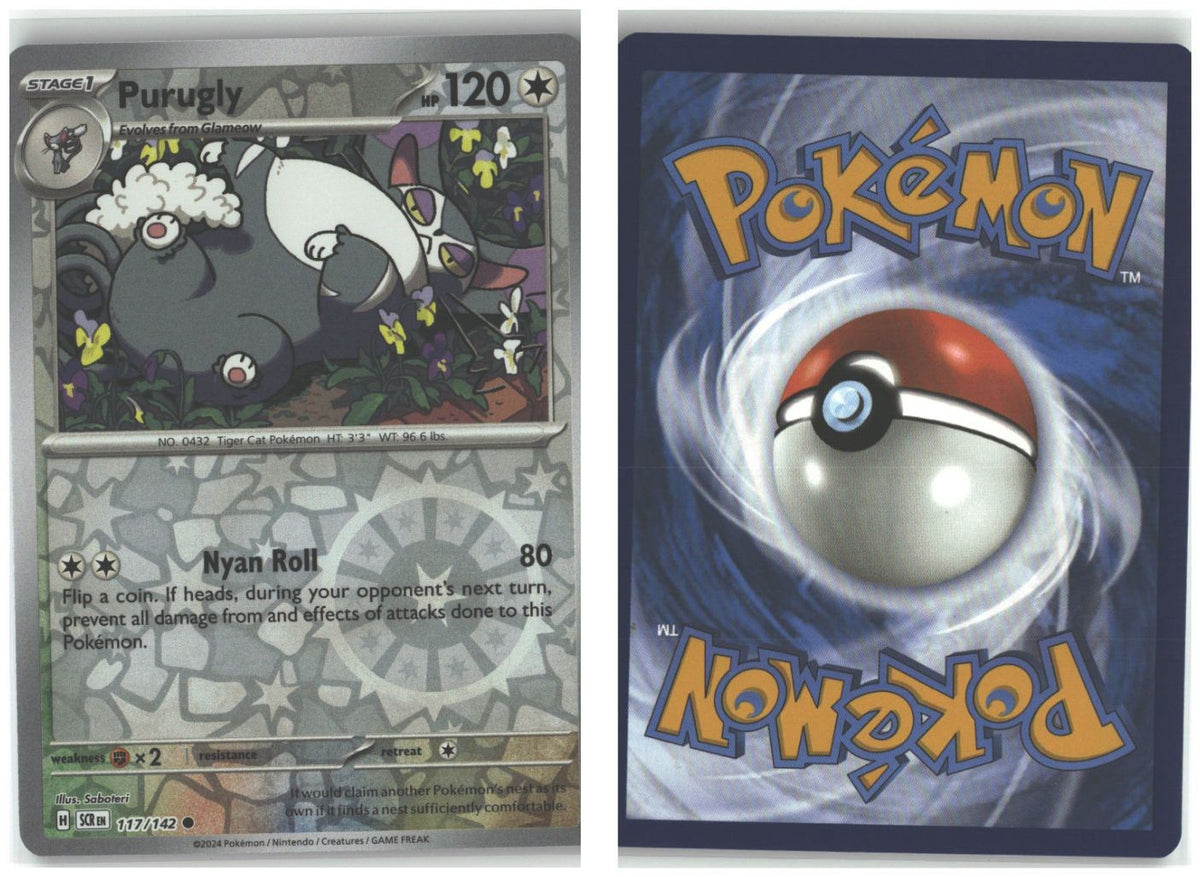 Front + Back scan