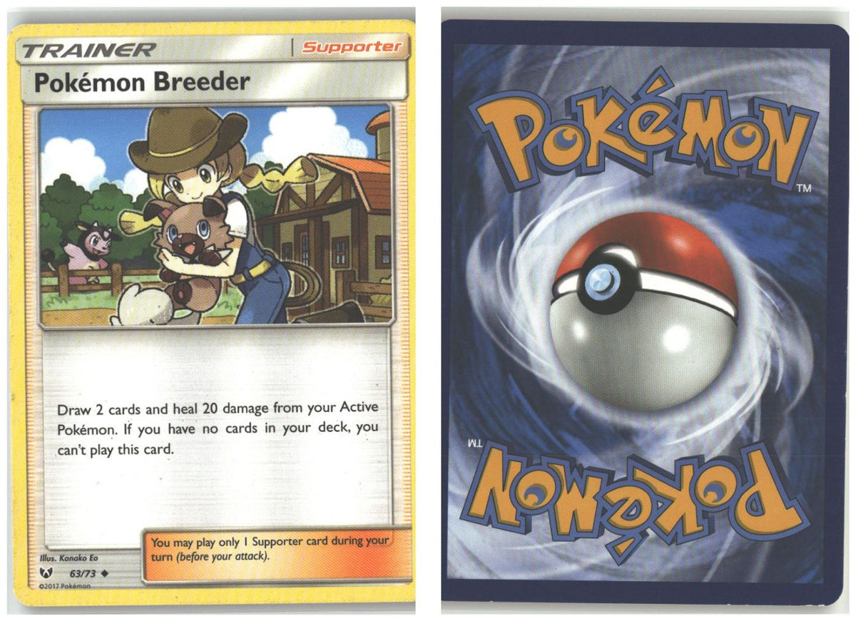 Front + Back scan