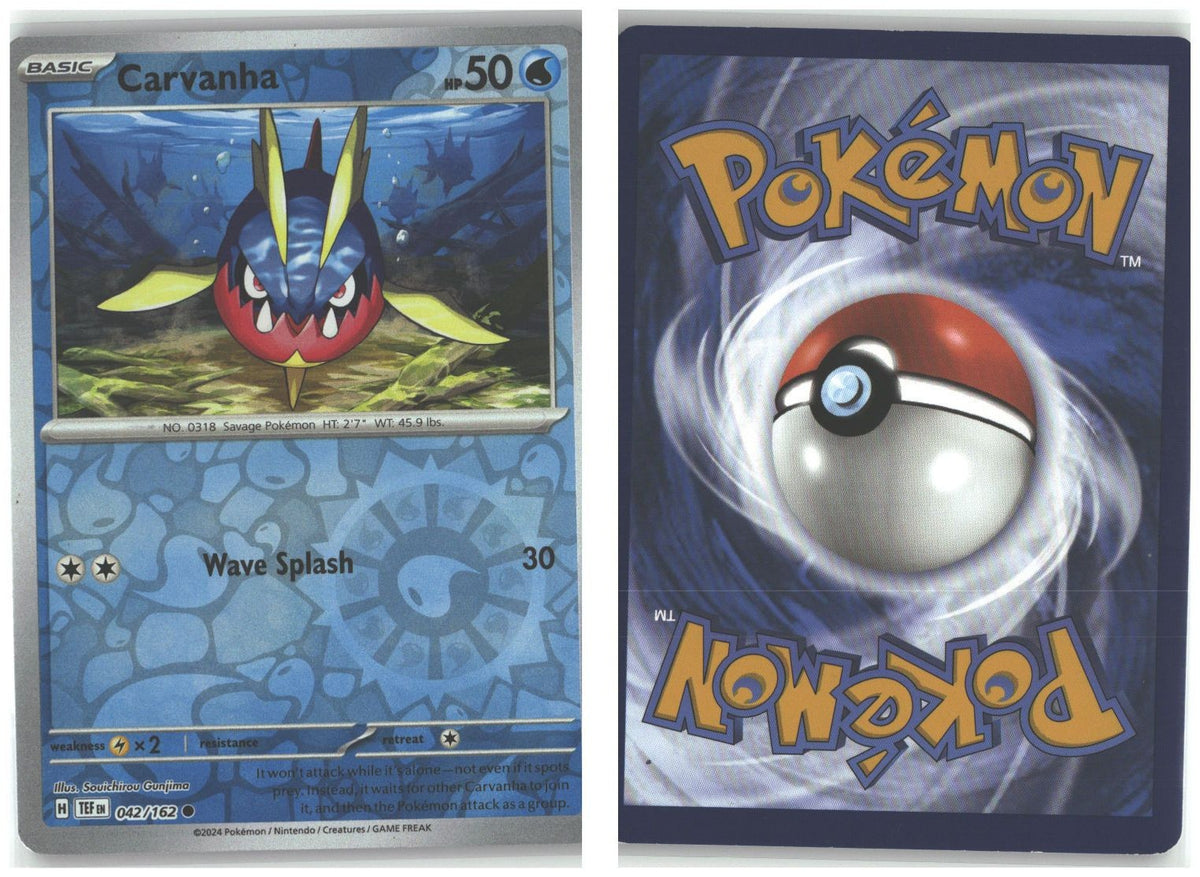 Front + Back scan